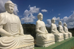 Existem 15 budas sentados em posição de meditação na Praça do Buda Gigante. Foto: Patrícia Battestin.