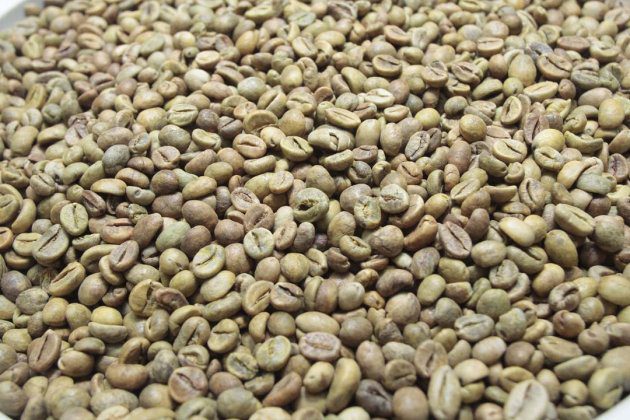 Melhor café arábica da Região Serrana capixaba é de Marechal Floriano